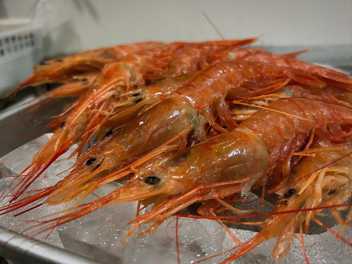 「天然赤海老の醤油漬け」
