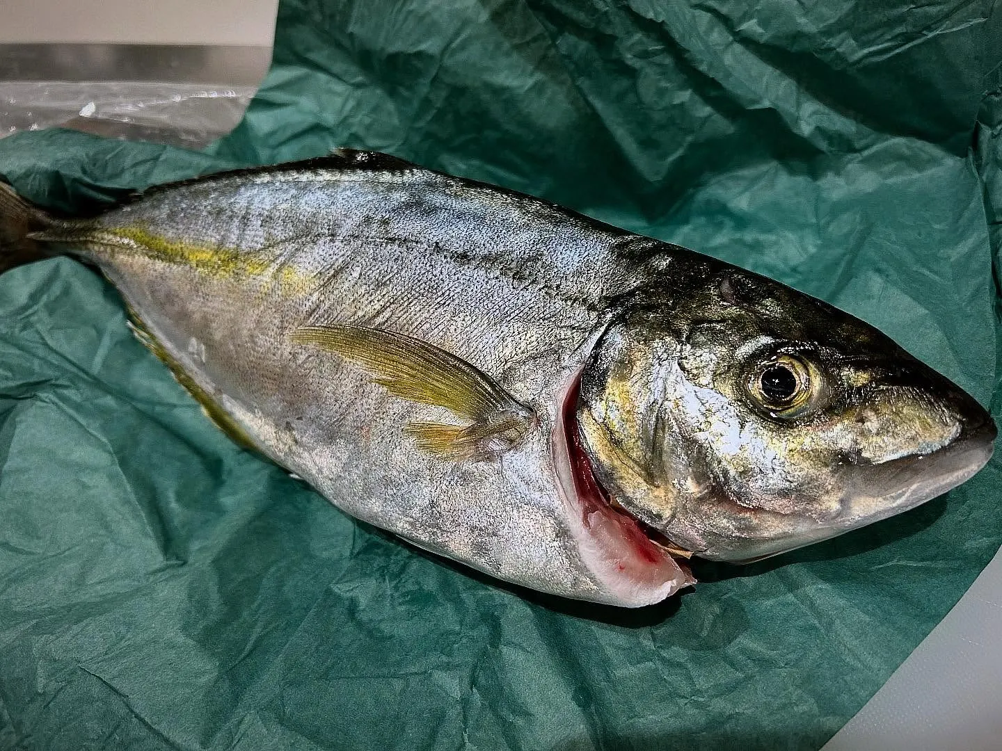 あっとゆうまに７月