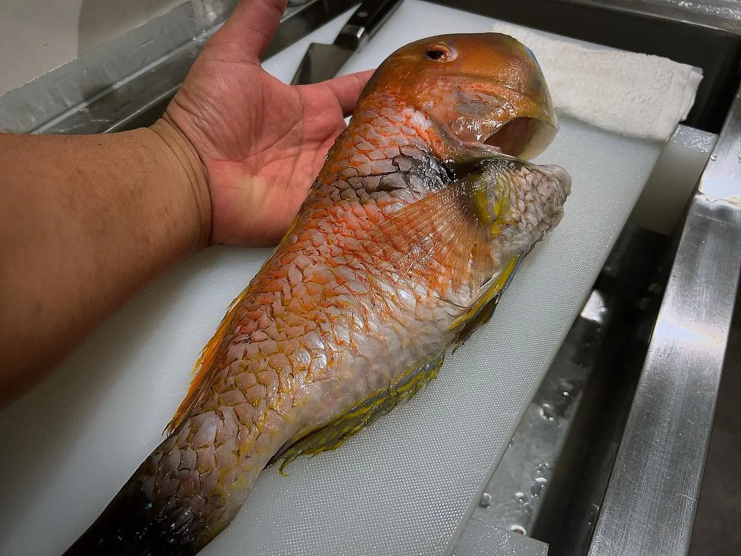 あっとゆうまに７月